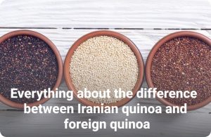 Everything about the difference between Iranian quinoa and foreign quinoa