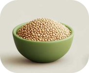 خانه ما
